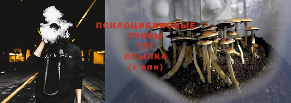 ПСИЛОЦИБИНОВЫЕ ГРИБЫ Кодинск