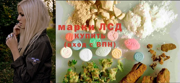 ПСИЛОЦИБИНОВЫЕ ГРИБЫ Кодинск