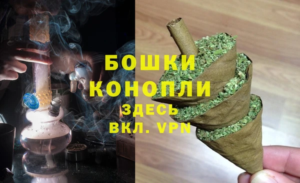 крисы Козловка
