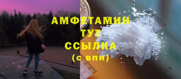 крисы Козловка