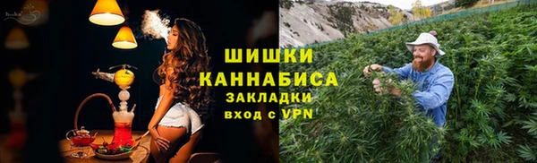 ПСИЛОЦИБИНОВЫЕ ГРИБЫ Кодинск